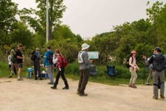 Falling Water 2023 Credit: J. Galloway