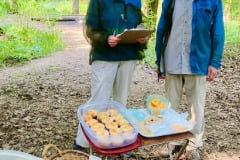 Falling Waters 2023 Credit: Lilla, Kristina, Anhong