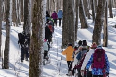 2018 Snowshoe Advenuture hike 2. Photo credit: Mike Arkless.