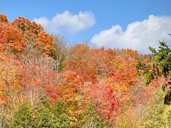 Come to Explore with Us on Bruce Trail Day