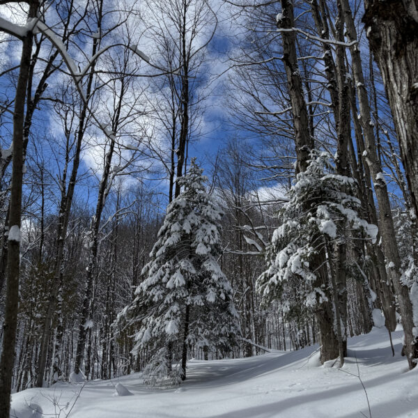 Winter Hiking: The Good, The Hard, the Funny