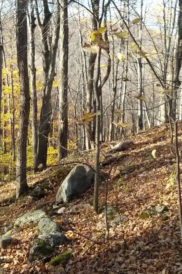 2025 Hunting Season Trail Closures