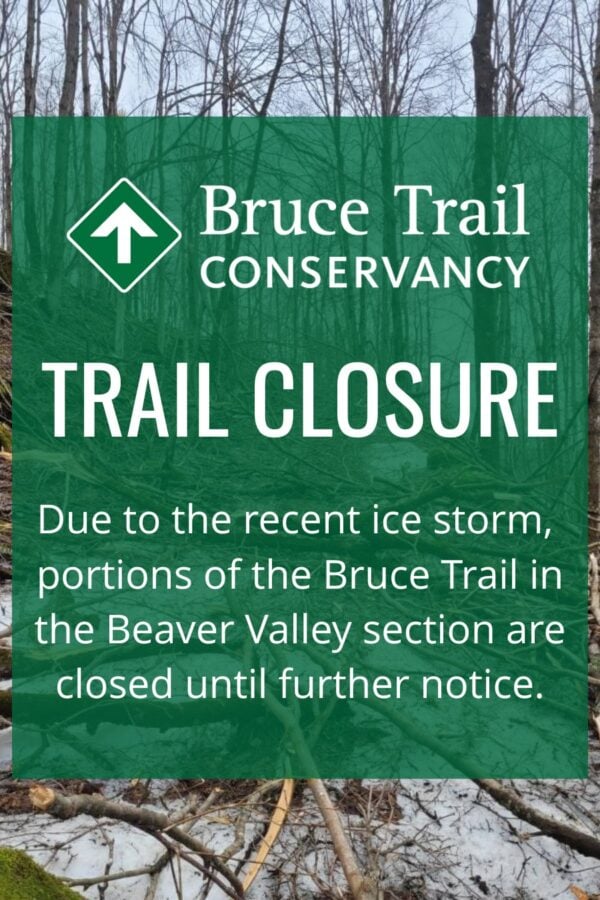 The entire Beaver Valley Bruce Trail section has been closed due to extensive damage along the trail from the recent ice storm.