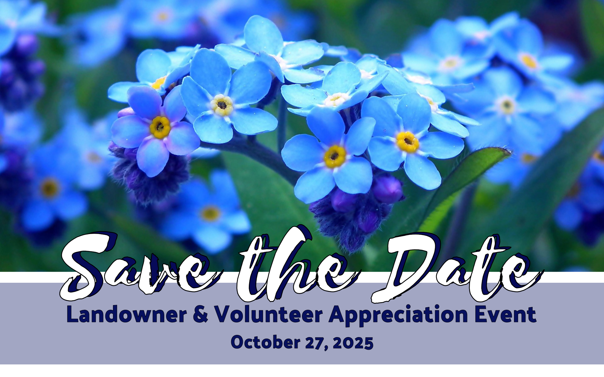 bvbtc-landowner+volunteer-appreciation-event-oct-27-2025-bkgd-img-forget-me-nots-4621181_1920-credit-teodor-buhl-pixabay-2019
