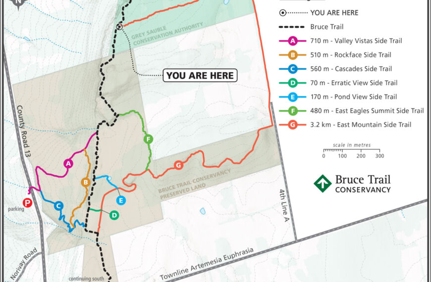 New trail network opens at the scenic Eagle's Summit nature reserve