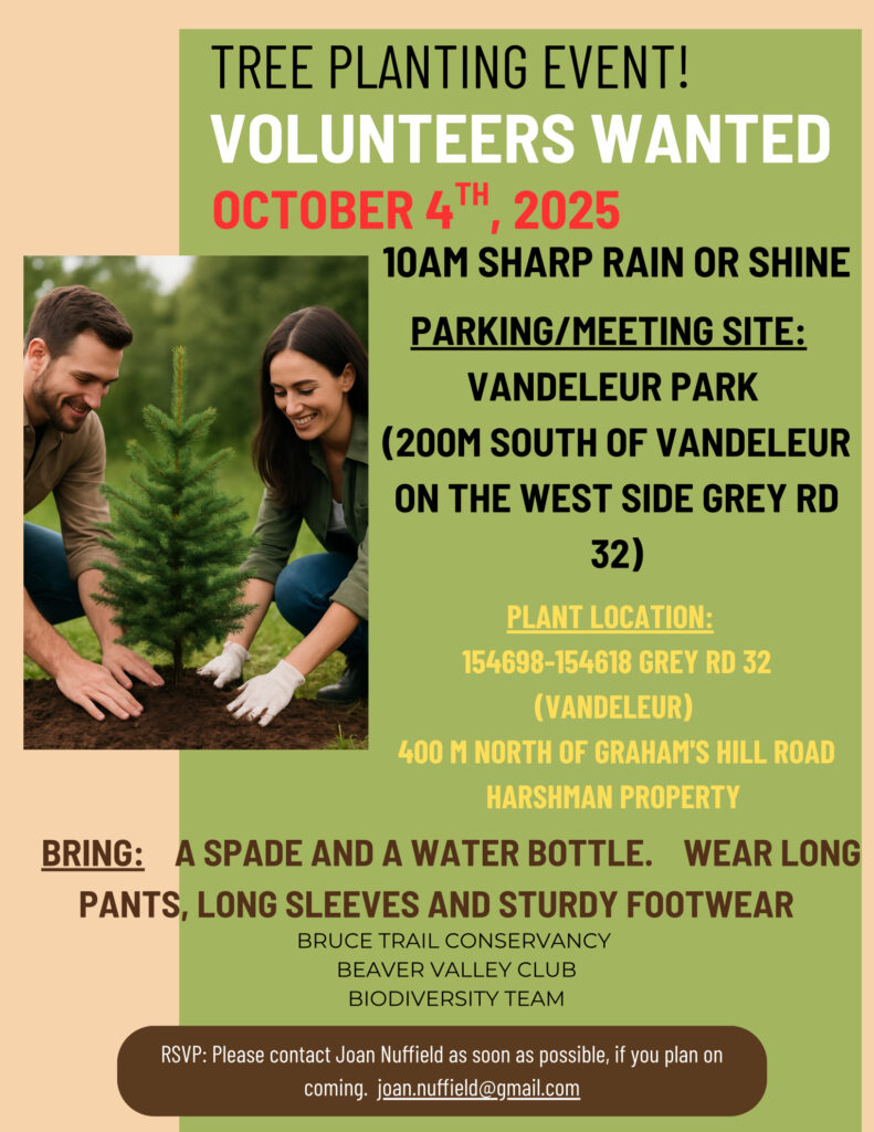 The Beaver Valley Club is seeking volunteers on October 4, 2025 to plant trees in Vandeleur Park. Contact Joan Nuffield ASAP