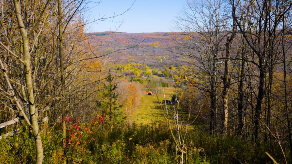 Blue sky and autumn colour across the Beaver Valley viewed from hill on Talisman property