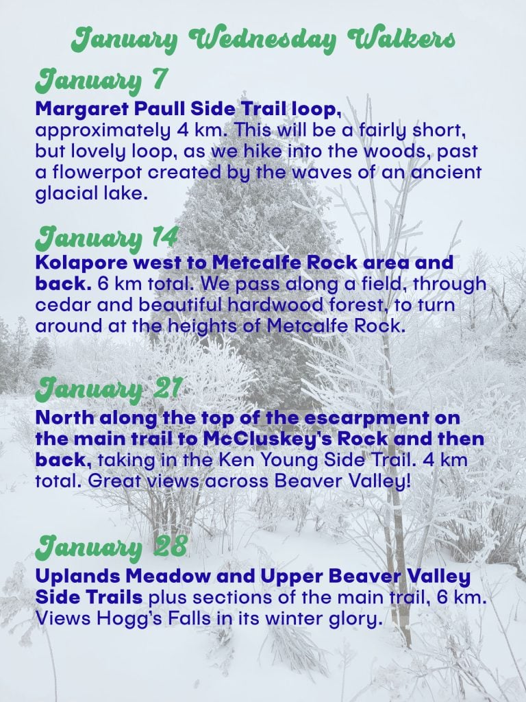 January Wednesday Walkers Snowshoe Hikes. January 7 Margaret Paull Side Trail loop. January 14 Kolapore west to Metcalfe Rock area and return. January 27 main trail to McCluskey's Rock then back. January 28 Uplands Meadow and Upper Beaver Valley Side Trails.