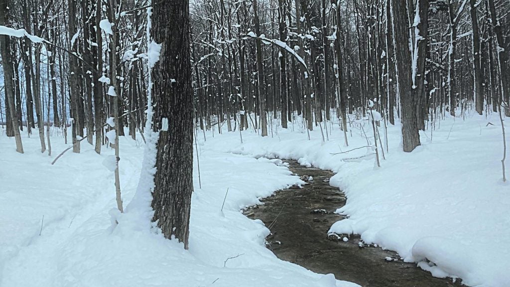 Snowy Bruce Trail with main trail marker on tree along meadering stream