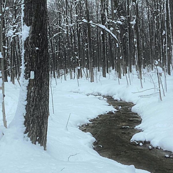 Snowy Bruce Trail with main trail marker on tree along meadering stream