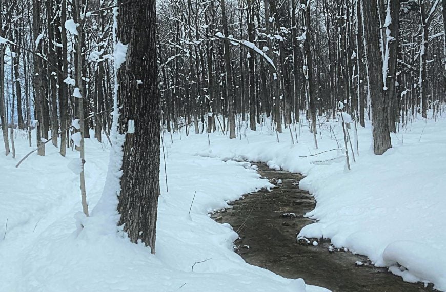Snowy Bruce Trail with main trail marker on tree along meadering stream