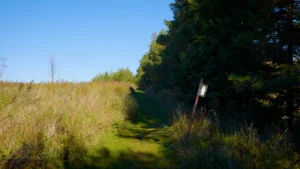 Talisman Forest Nature Reserve news Release