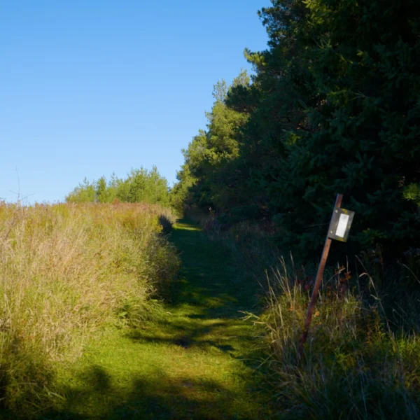 Talisman Forest Nature Reserve Reroute