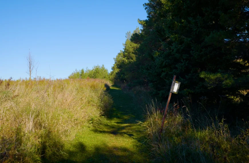 Talisman Forest Nature Reserve news Release