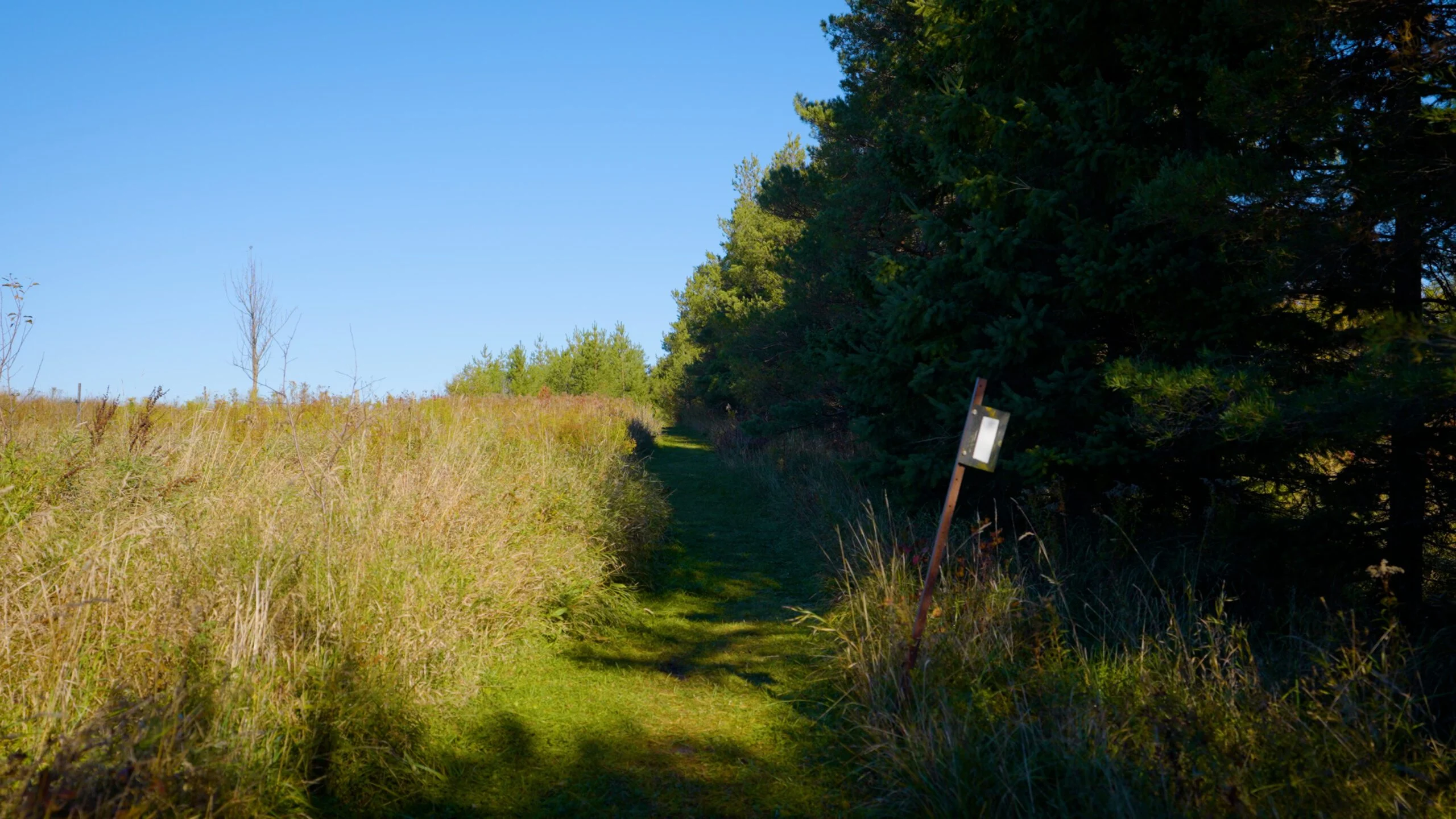 Talisman Forest Nature Reserve news Release