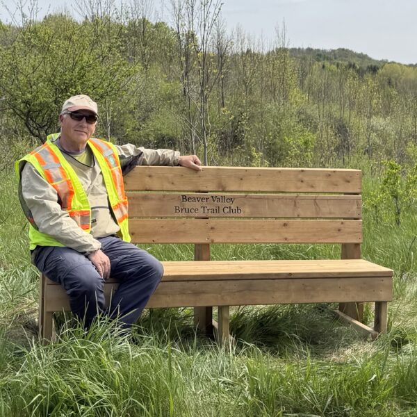 Have You Seen Our Newest Bench?