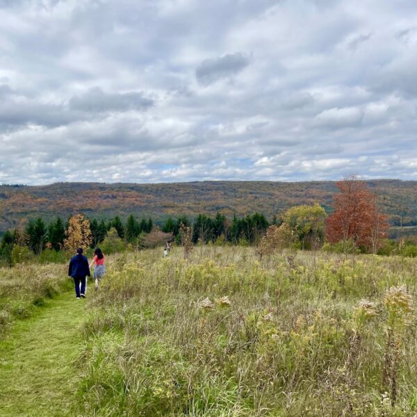 Bruce Trail Day Contest and Events