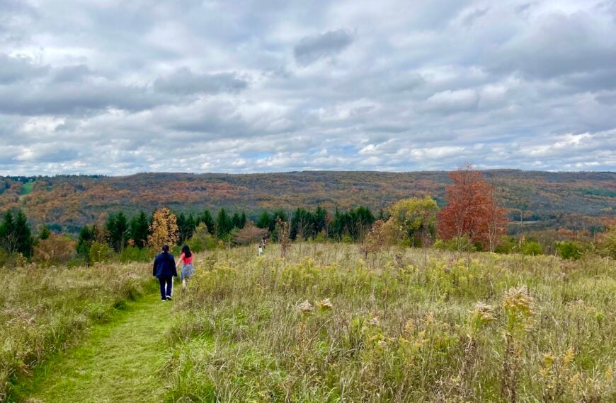 Bruce Trail Day Contest and Events