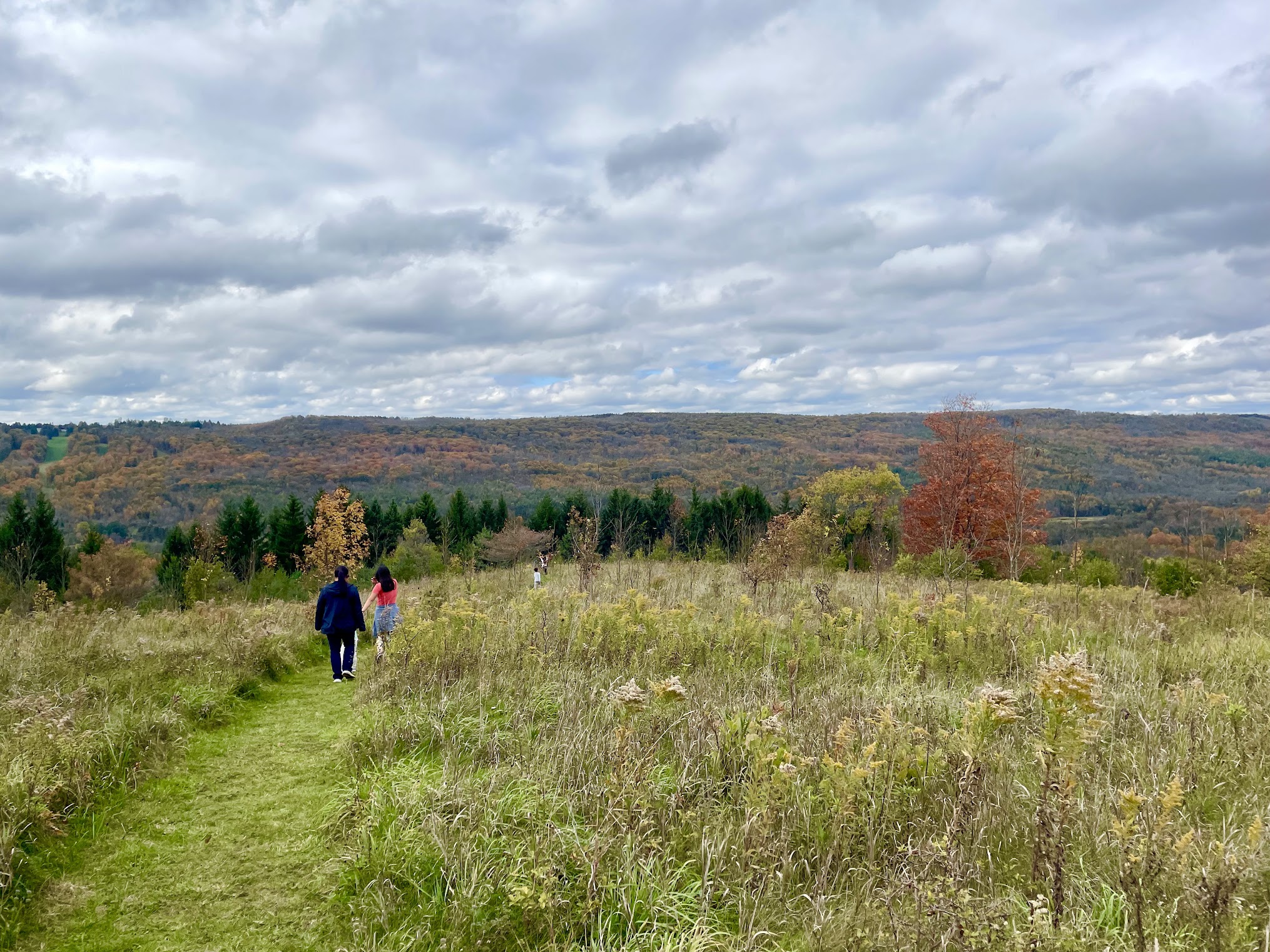 Bruce Trail Day Contest and Events