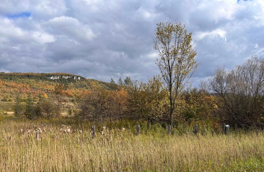 November Hikes