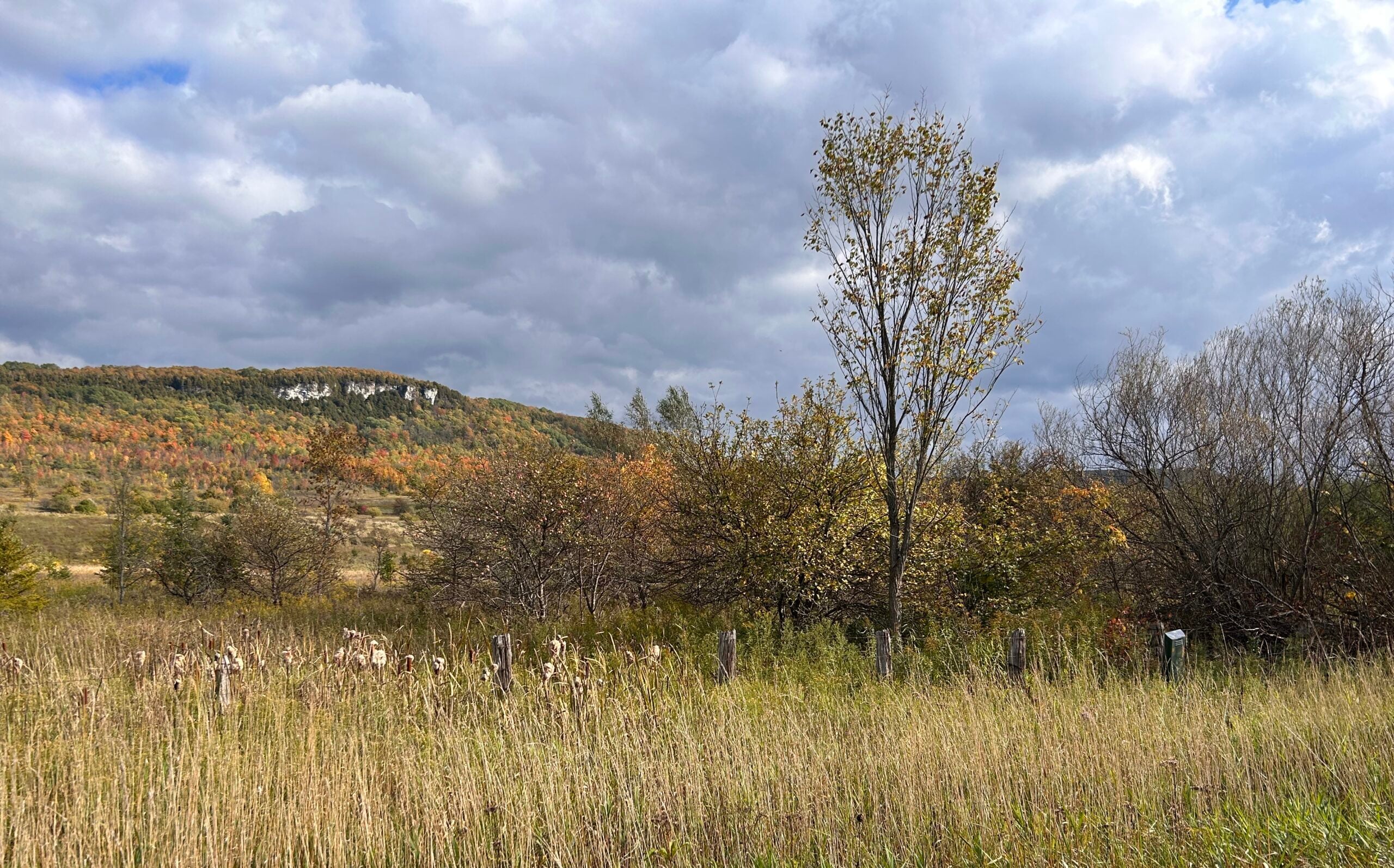 November Hikes